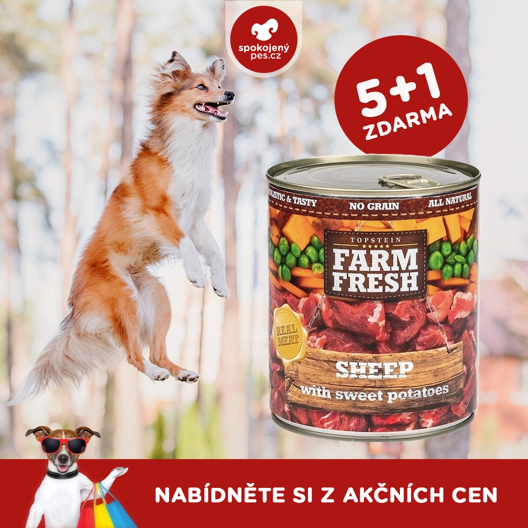 dog farm.webp